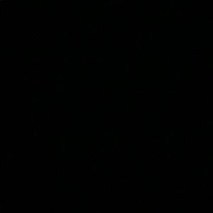 Meet your Posher, Bob